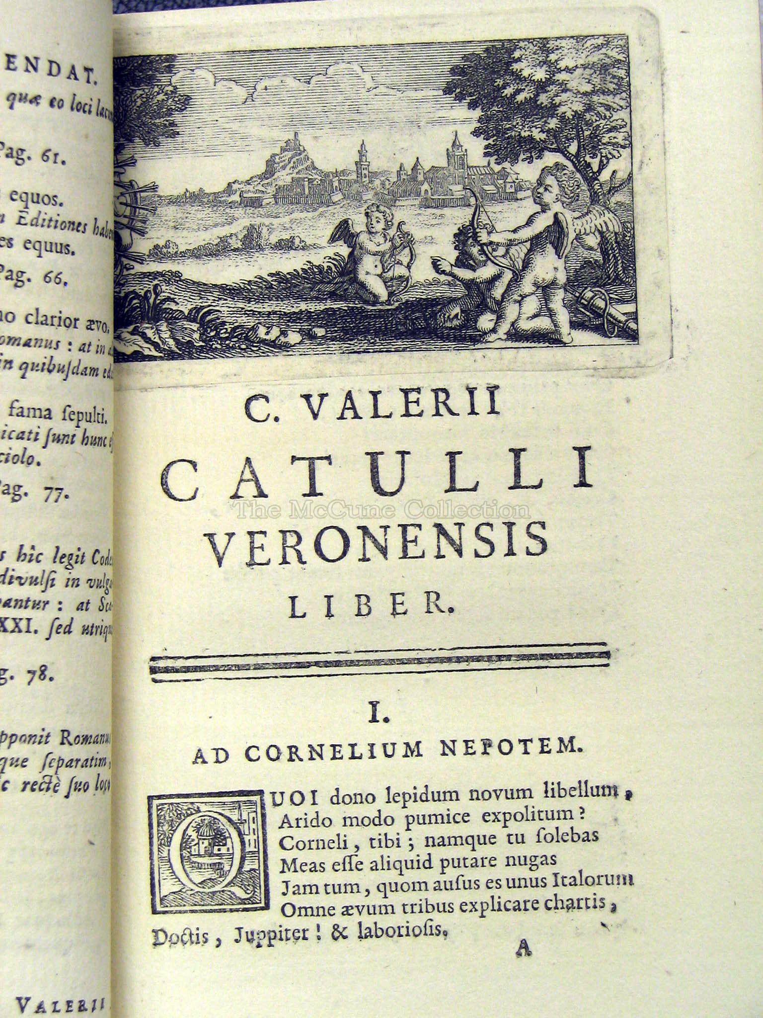 Catullus essay 06 picture